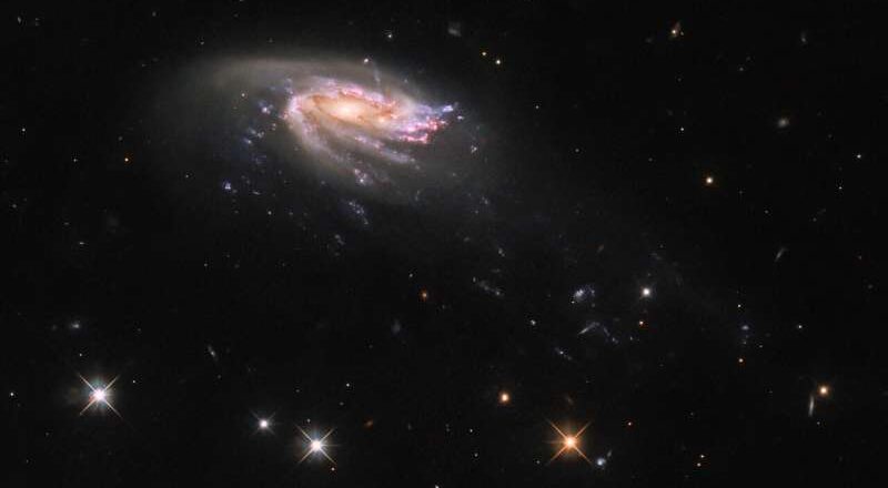 JO206: The Enchanting Jellyfish Galaxy Revealed by Hubble